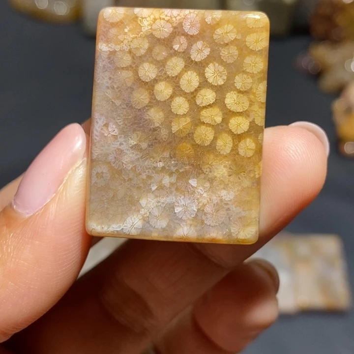 【闪购商品】未镶嵌珊瑚玉硅化玉