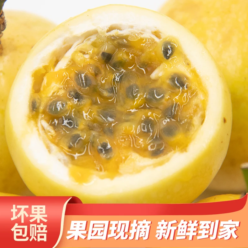 正宗广西钦蜜九号黄金百香果水果产地直发当季新鲜水果