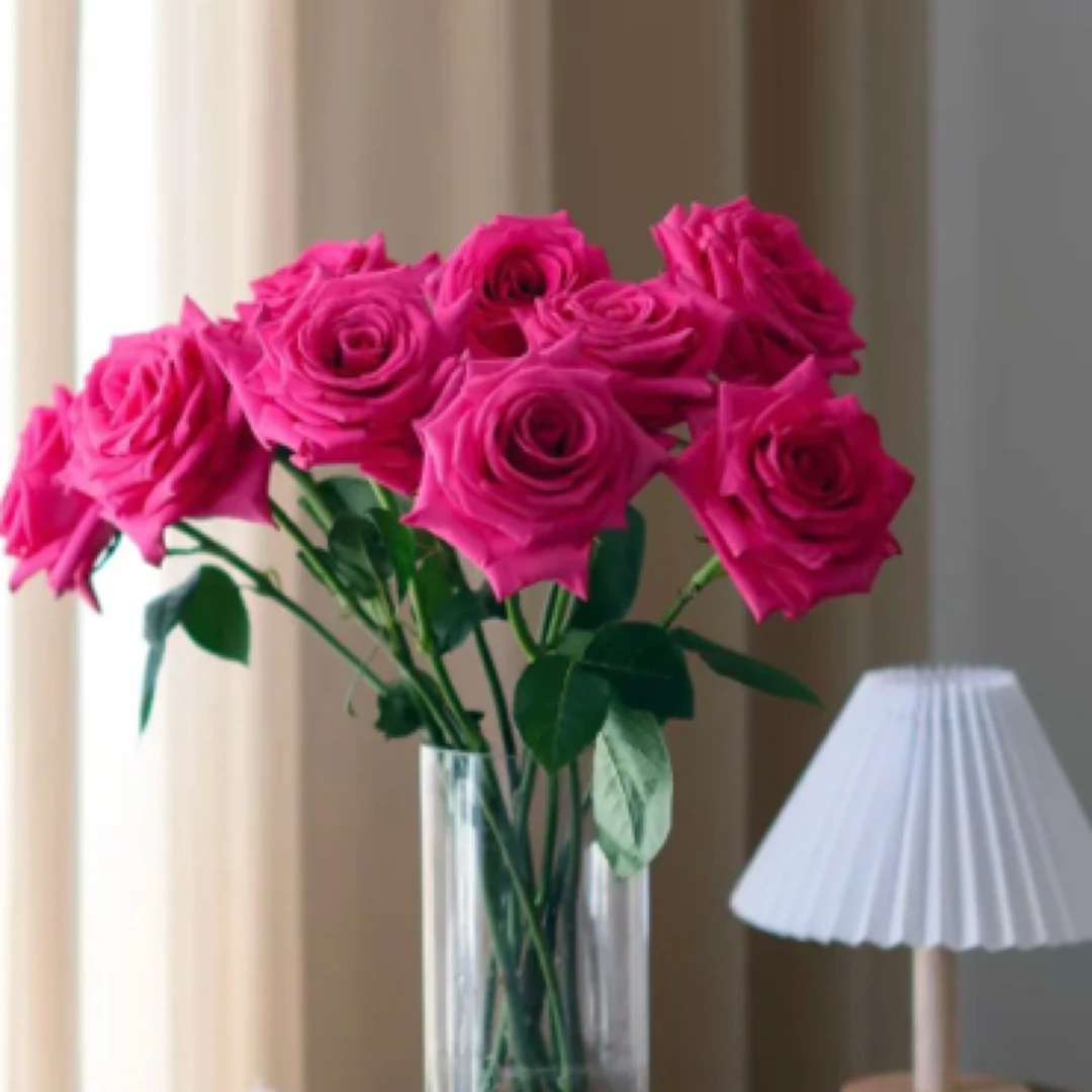 【弗洛伊德】鲜花云南全场鲜花任意满两单升级顺丰 送货上门