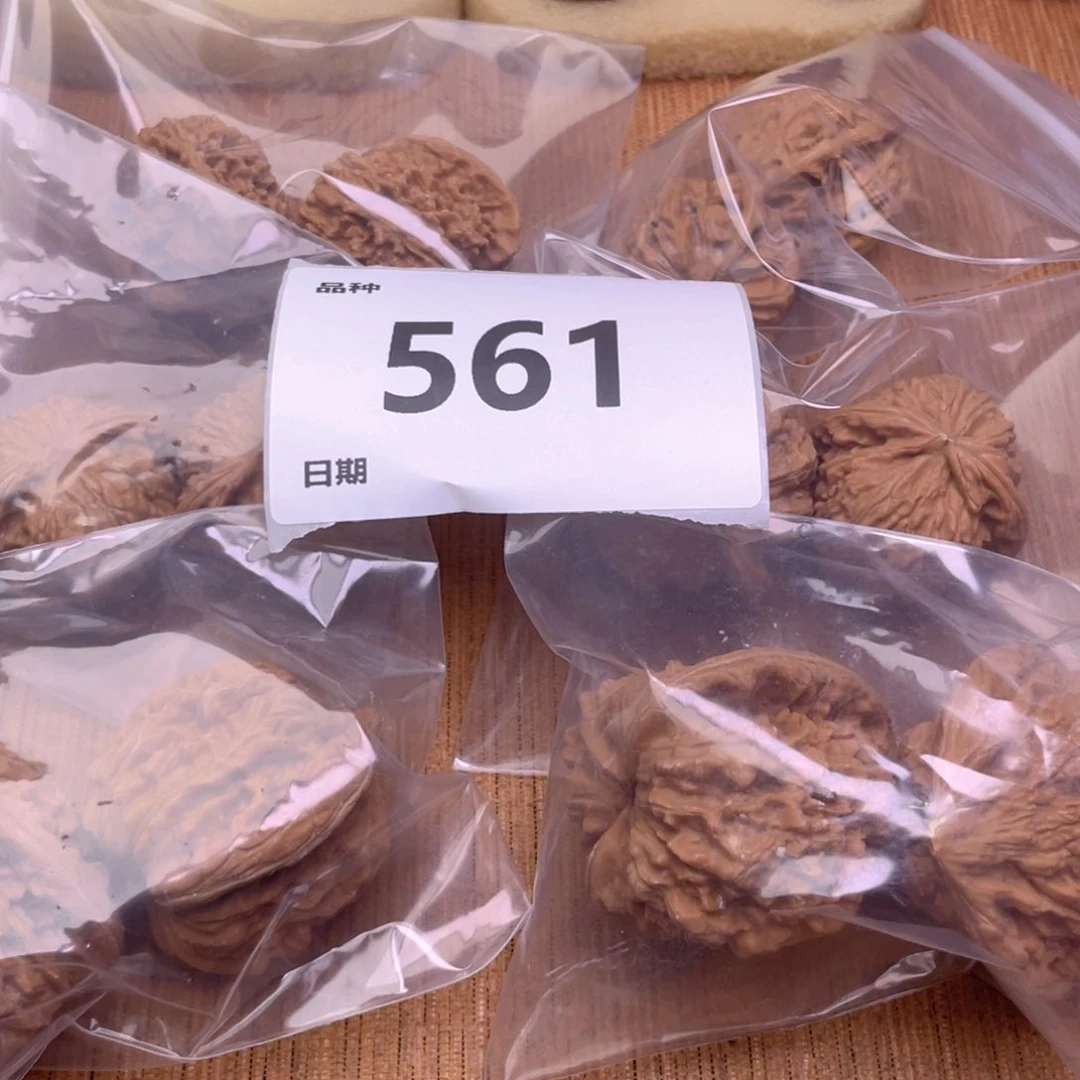 文玩核桃把件561号6对