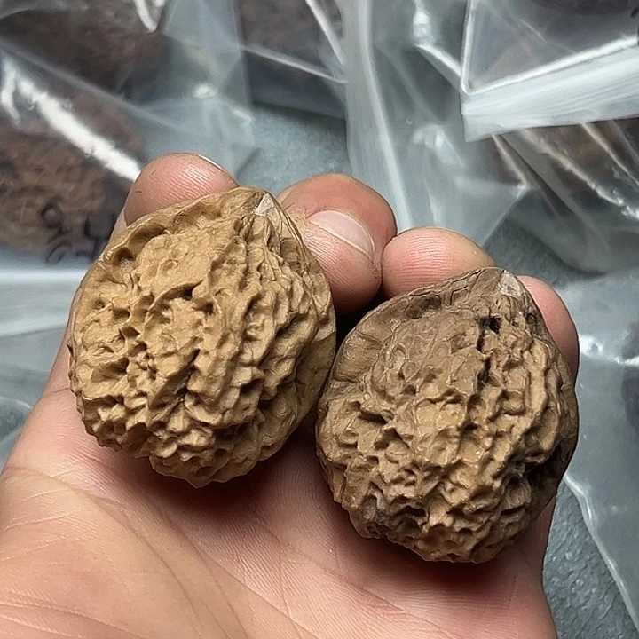 文玩核桃把件52号狂野蟾41尺