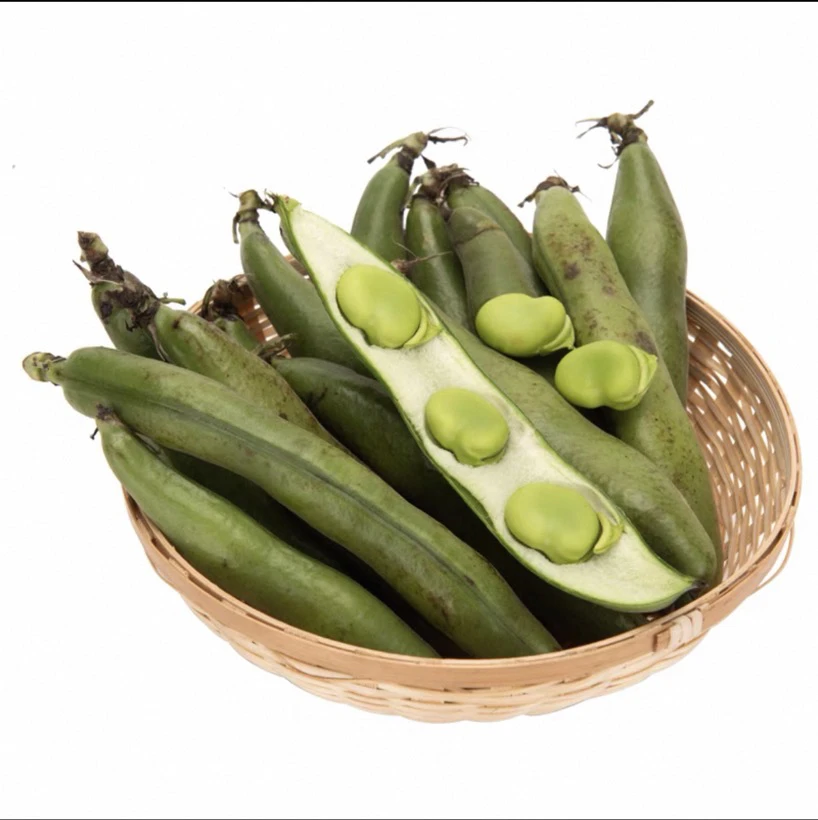 湖北公安农家豌豆（蚕豆）夹 光照不一老嫩不同属于正常现象