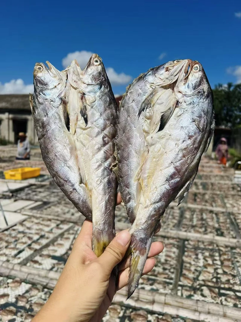 【鲜锋严选】舟山本地章跳鱼鲞自然晾晒鱼干