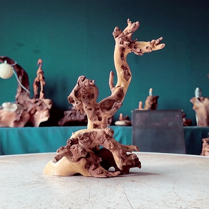 用***4木690 金丝红木羊蹄甲半成品