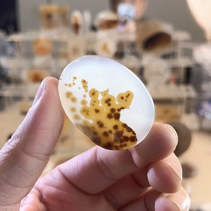 L****玛瑙/玉髓未镶嵌吊坠(不含链)