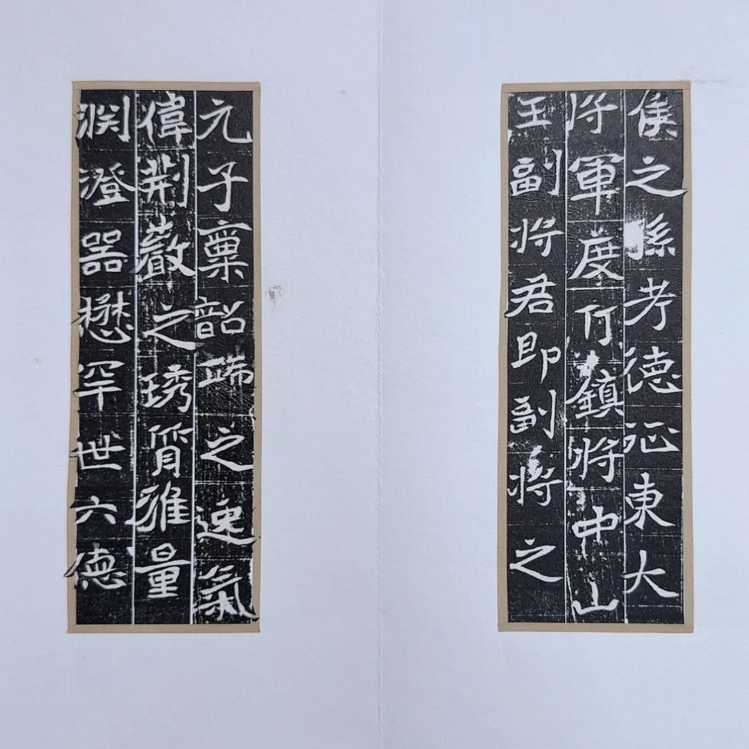 鹤***天昌化石印石长孙忻11111111