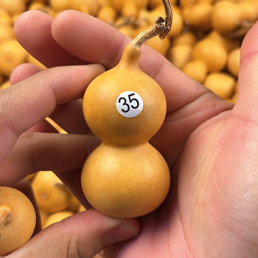 四葫芦葫芦葫芦葫芦35