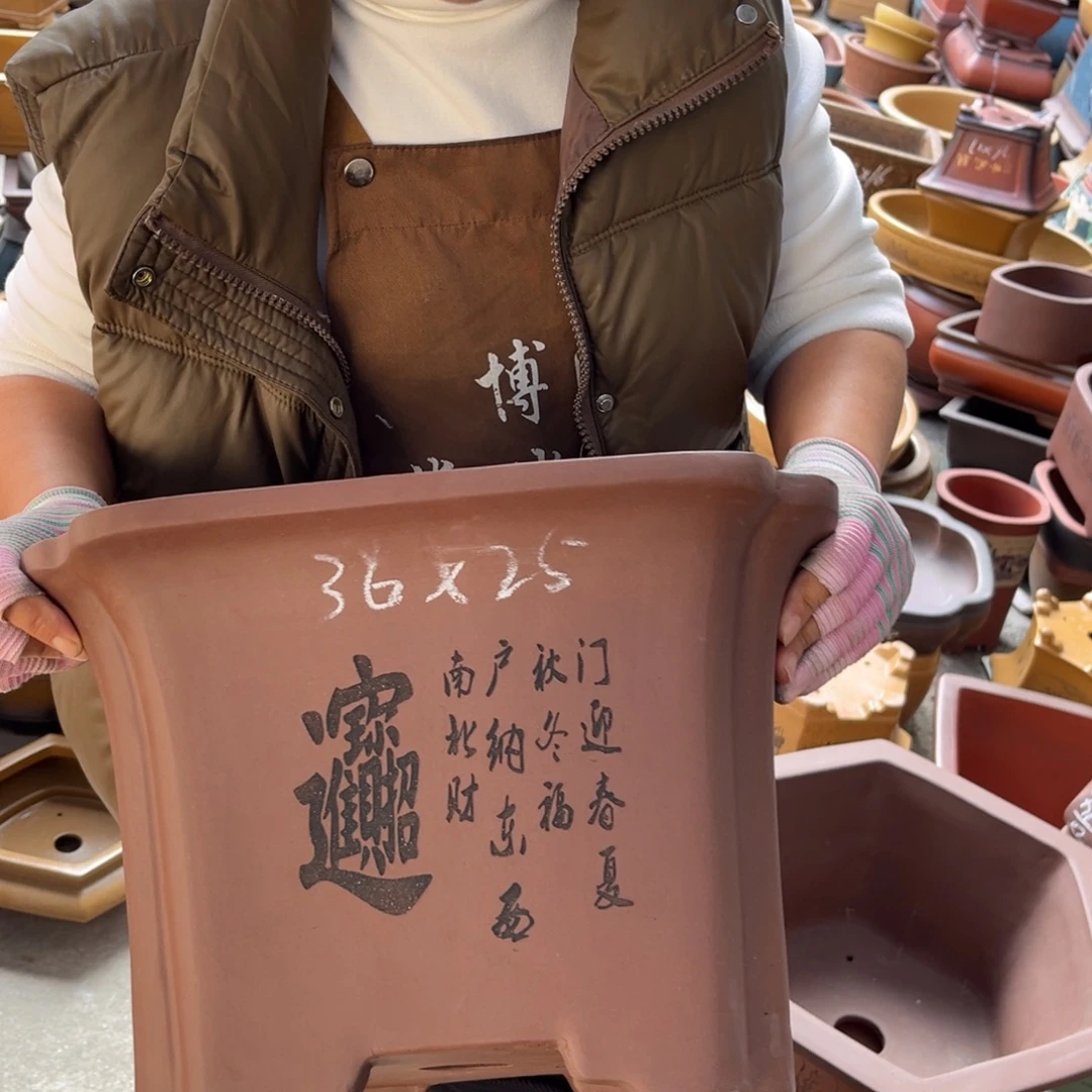 花盆紫砂盆景艺术