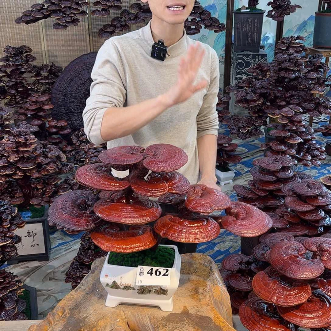 无花朵8888888888888888888