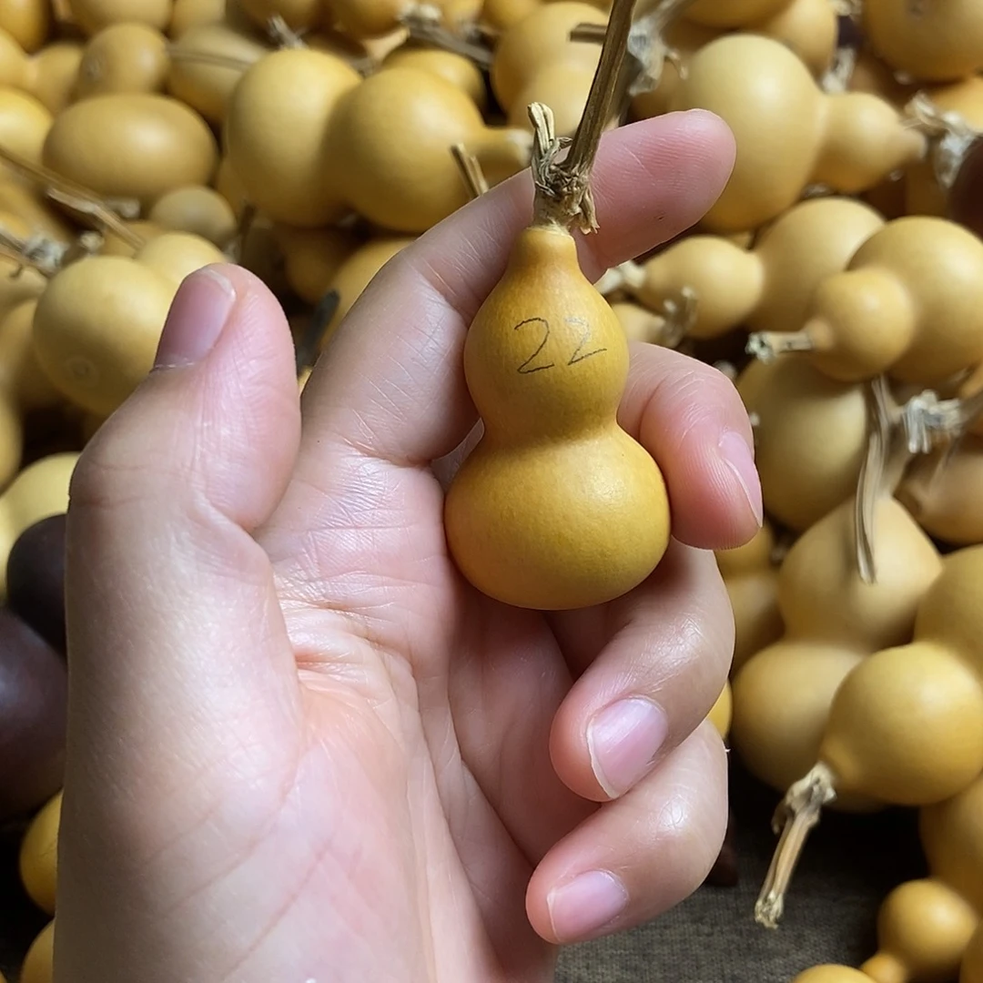 文玩葫芦 非完美主义者 慎拍22