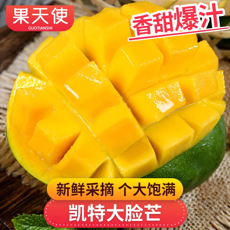 【果天使】凯特大脸芒3-8斤新鲜采摘个大饱满香甜多汁新鲜水果芒果