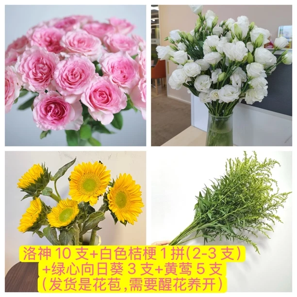 洛神 10 支+白色桔梗 1 拼（2-3 支）+绿心向日葵 3 支+黄莺 5 支鲜花组合混搭花束次日达顺丰包邮送花上门