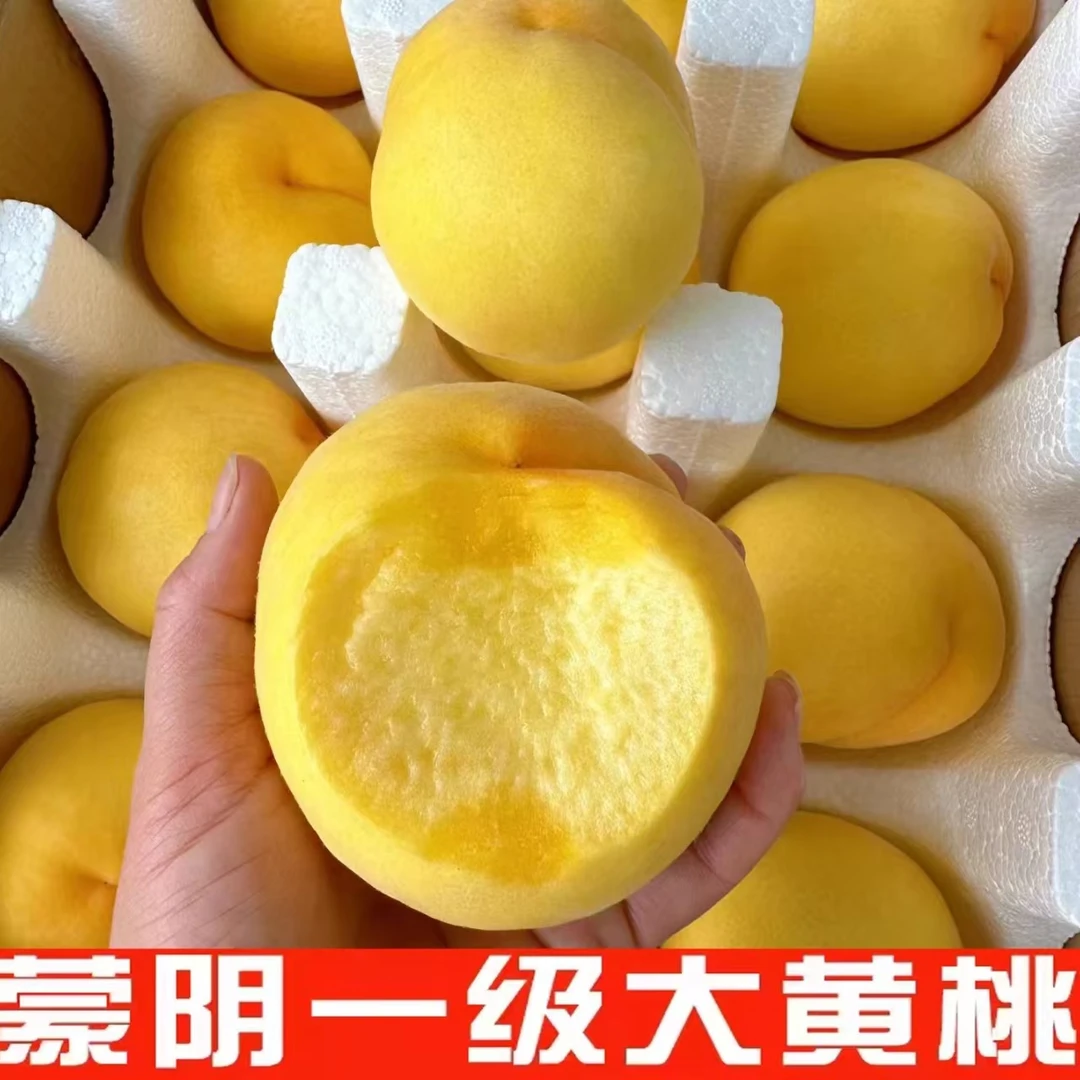 山东蒙阴锦绣黄桃果园直发