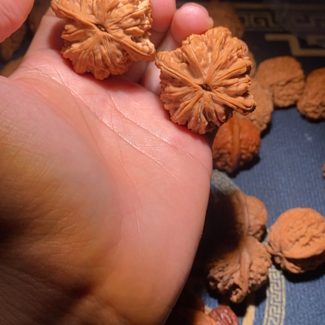 A***z全品无修虎头一对