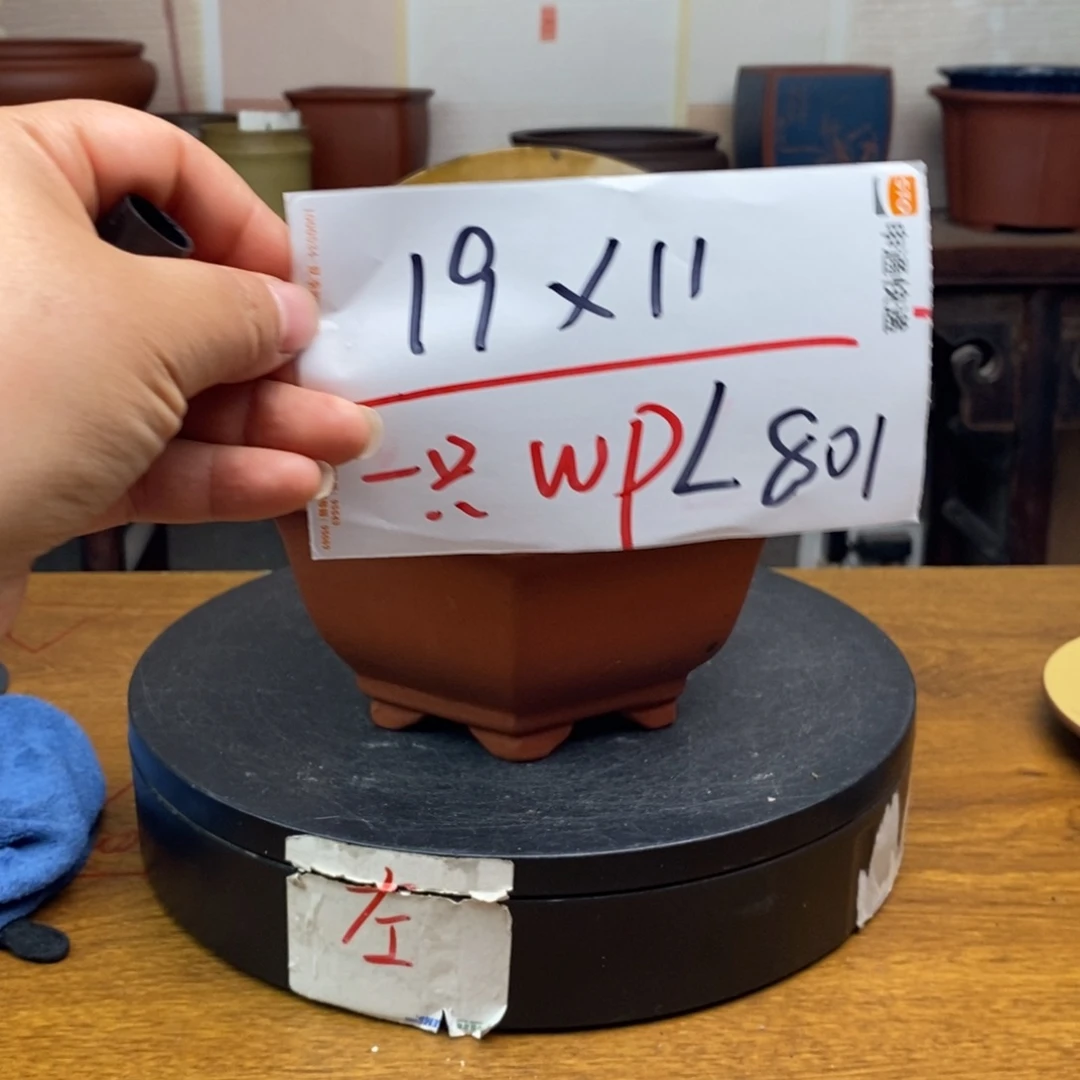 紫砂货号一只WPL801