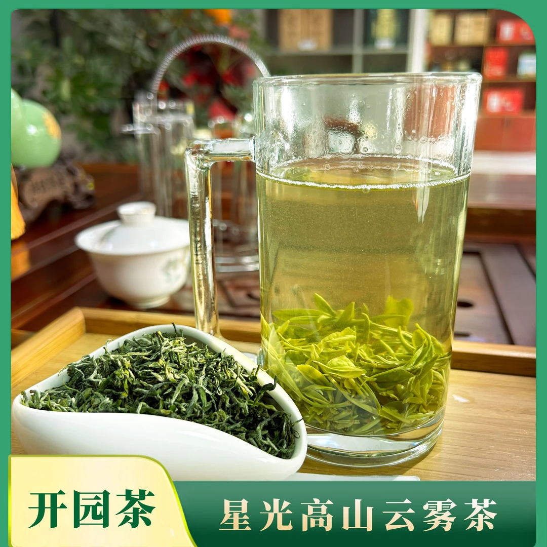 【开园茶】英山春茶高山手工开园头采茶云雾茶青绿茶茶叶茶香