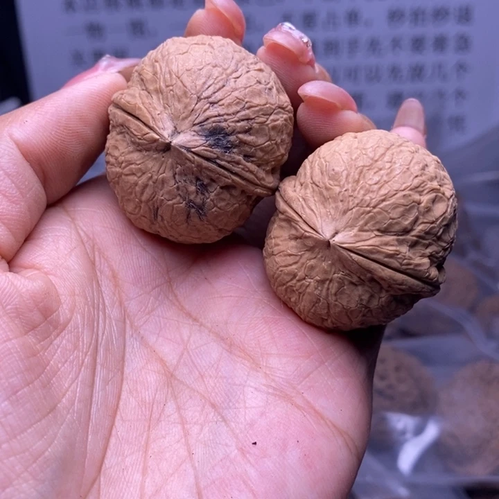 核桃云南野生铁核桃52号37mm