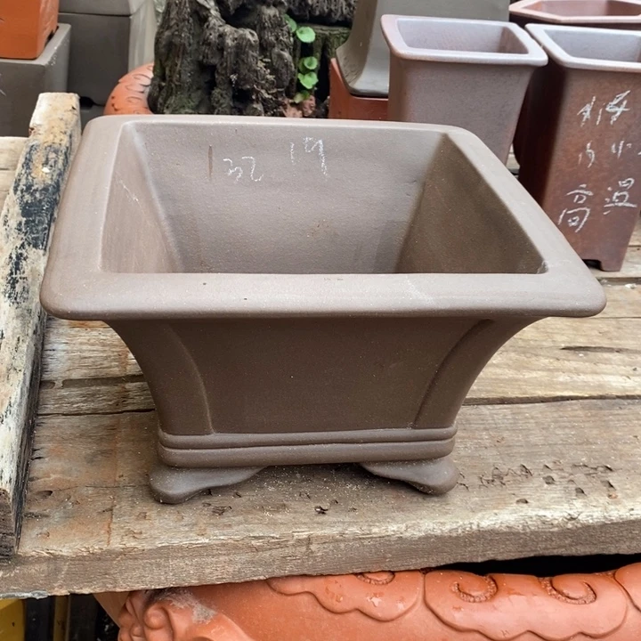 花盆紫砂红红火火过