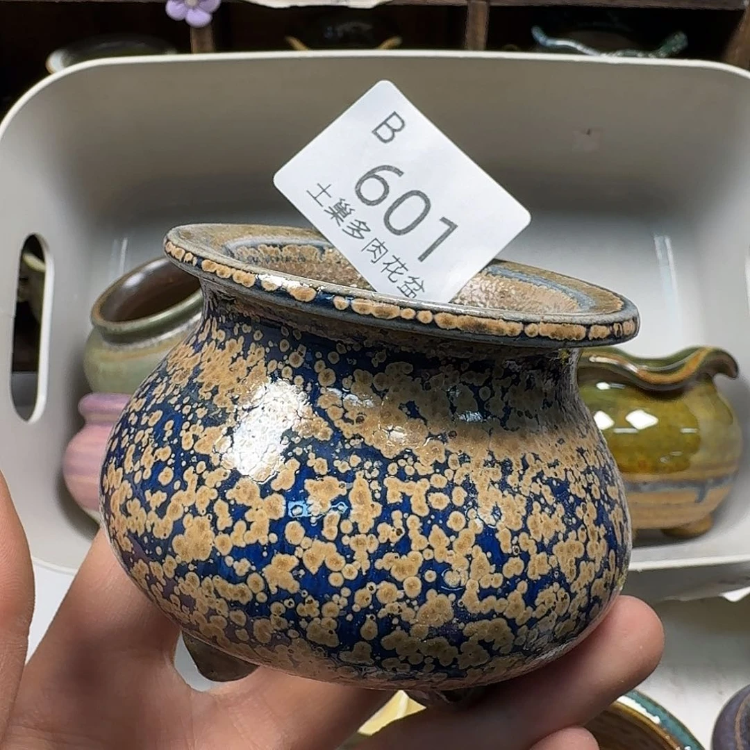 罐陶瓷艺术与工艺