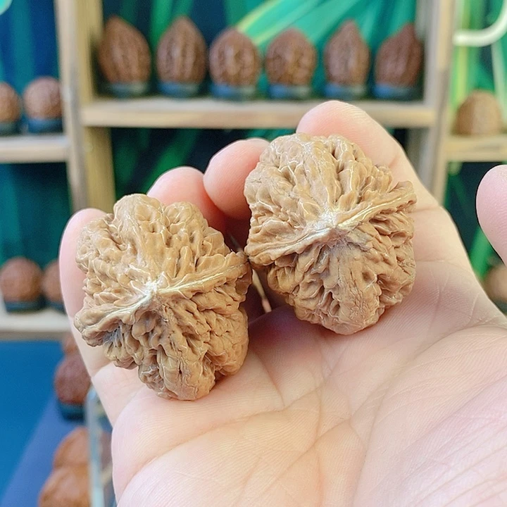 吊坠文玩核桃89巨蜥