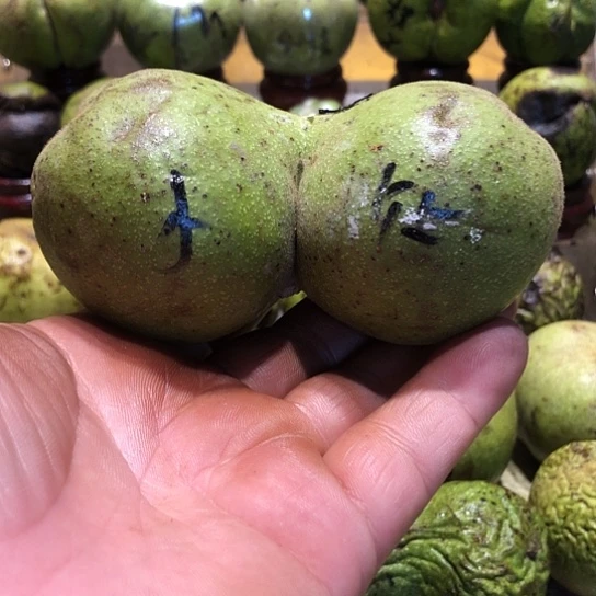 桃核吊坠核桃核桃