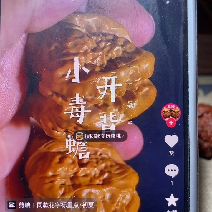 舜***肉把件文玩核桃核桃