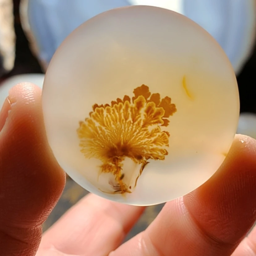 【闪购商品】未镶嵌颈饰玛瑙/玉髓