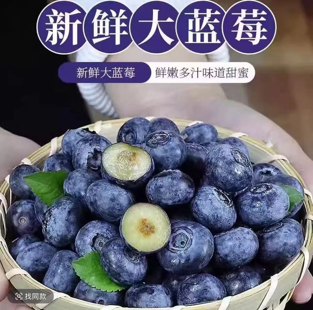 秘鲁蓝莓脆甜可口顺丰空运当季水果