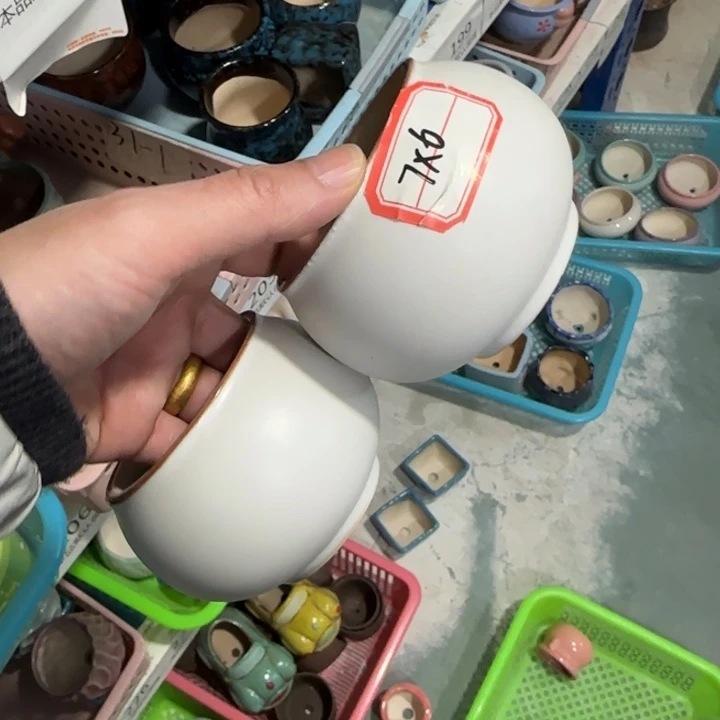 2《所有单满15发（花盆）》7×6