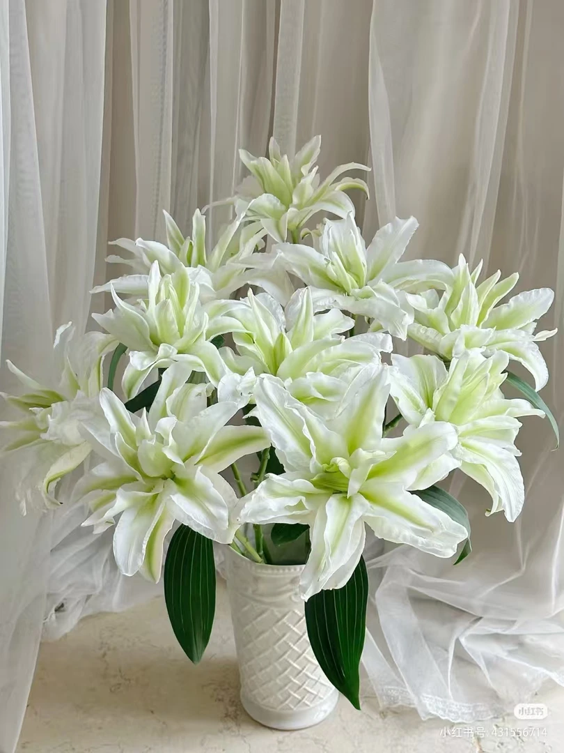 （云南鲜花玫瑰百合）艾莎重瓣4枝8个花苞，一单包邮，两单升级冷链！