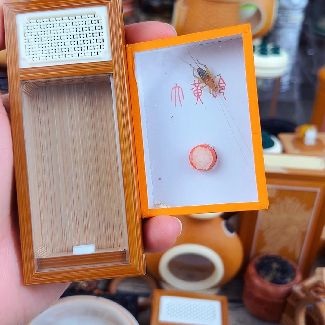 谭字款穿条鱼黄蛉盒配烈焰仙子