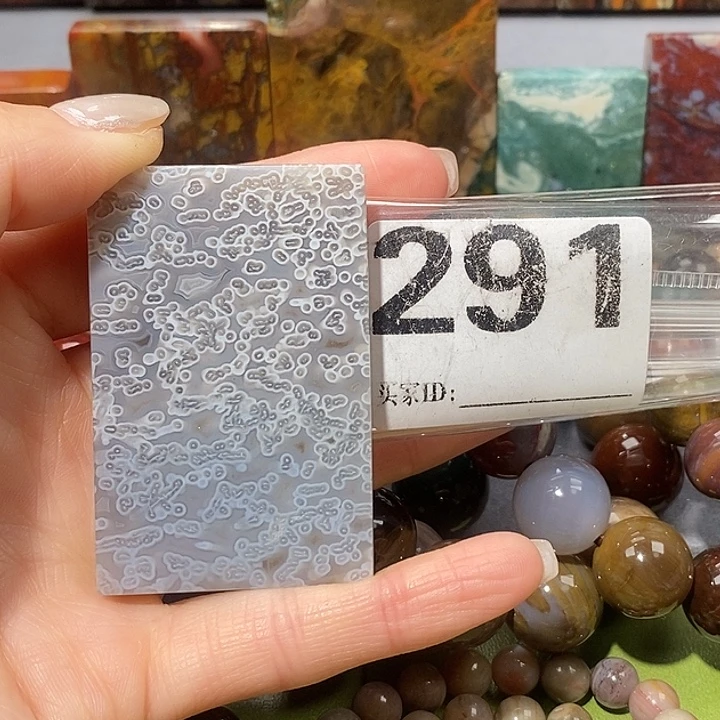 硅化玉未镶嵌天然北票树化玉吊坠