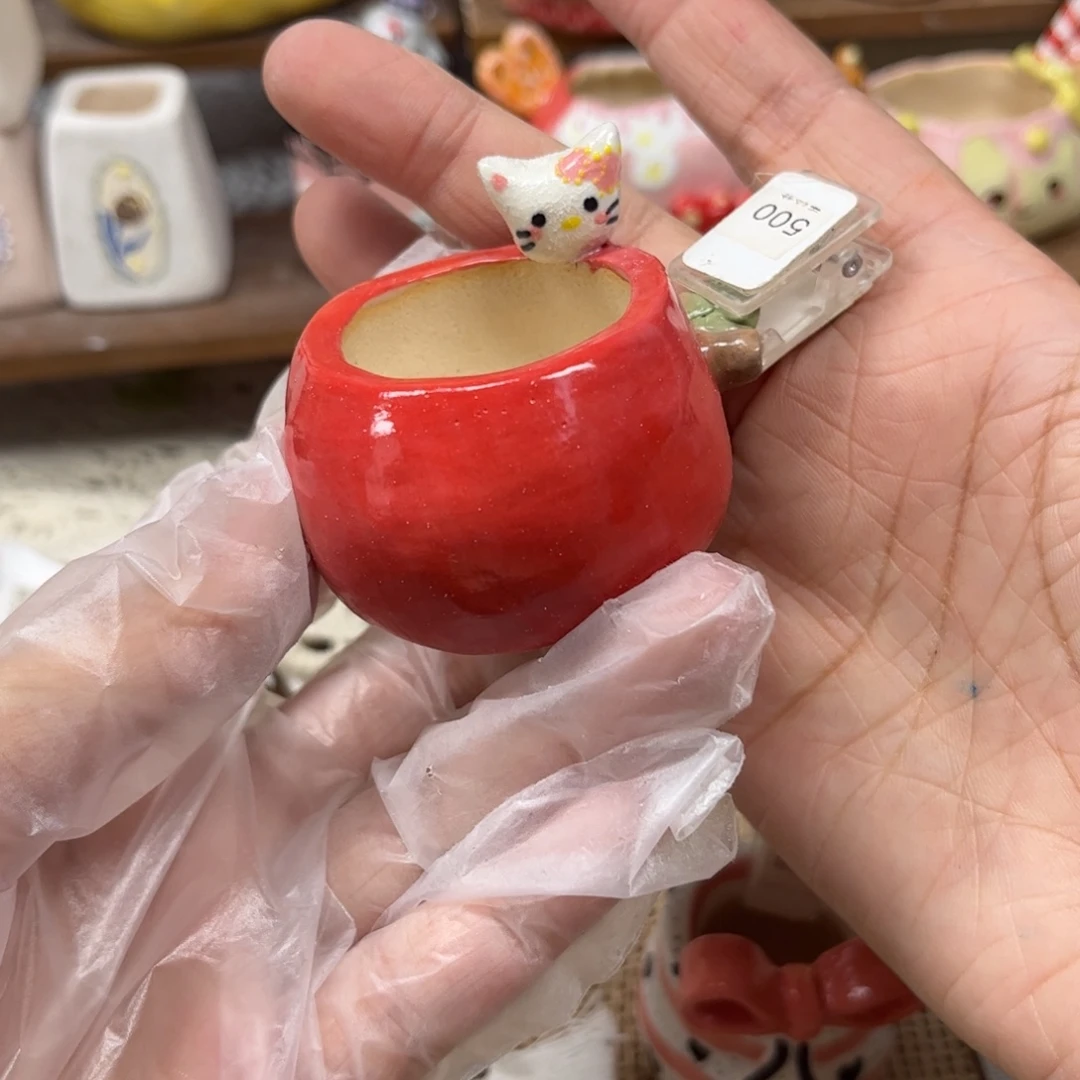 c***n500凯蒂猫苹果花盆