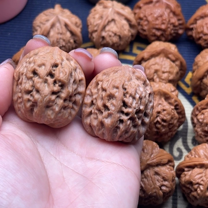 核桃高端小众雪狮34