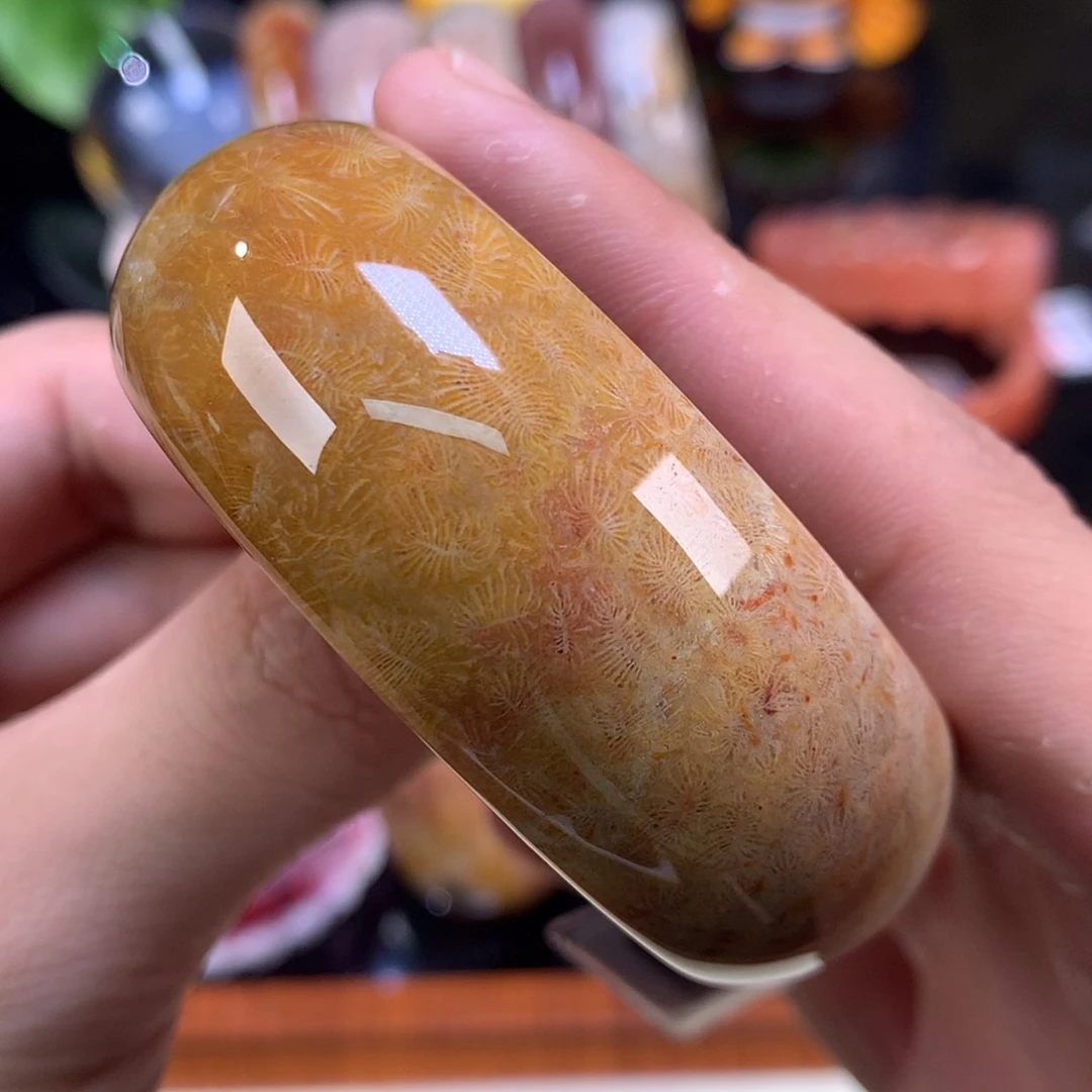 【闪购商品】颈饰未镶嵌硅化珊瑚（珊瑚玉）50号52.2圈胖虫好绝！