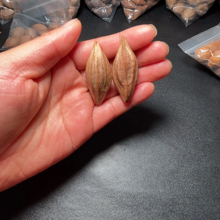 猪牙手串/手链我是