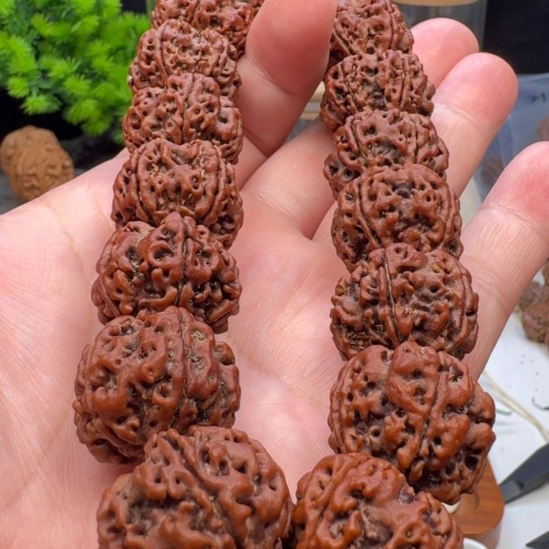 手串金刚菩提平头粗筋豆腐块