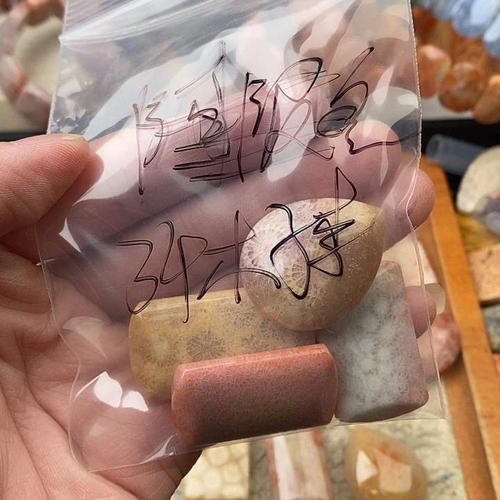 木****硅化玉颈饰未镶嵌