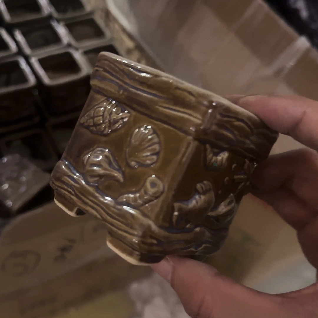 陶瓷福利局·自动合并订单·一个个买凑9元发·5061