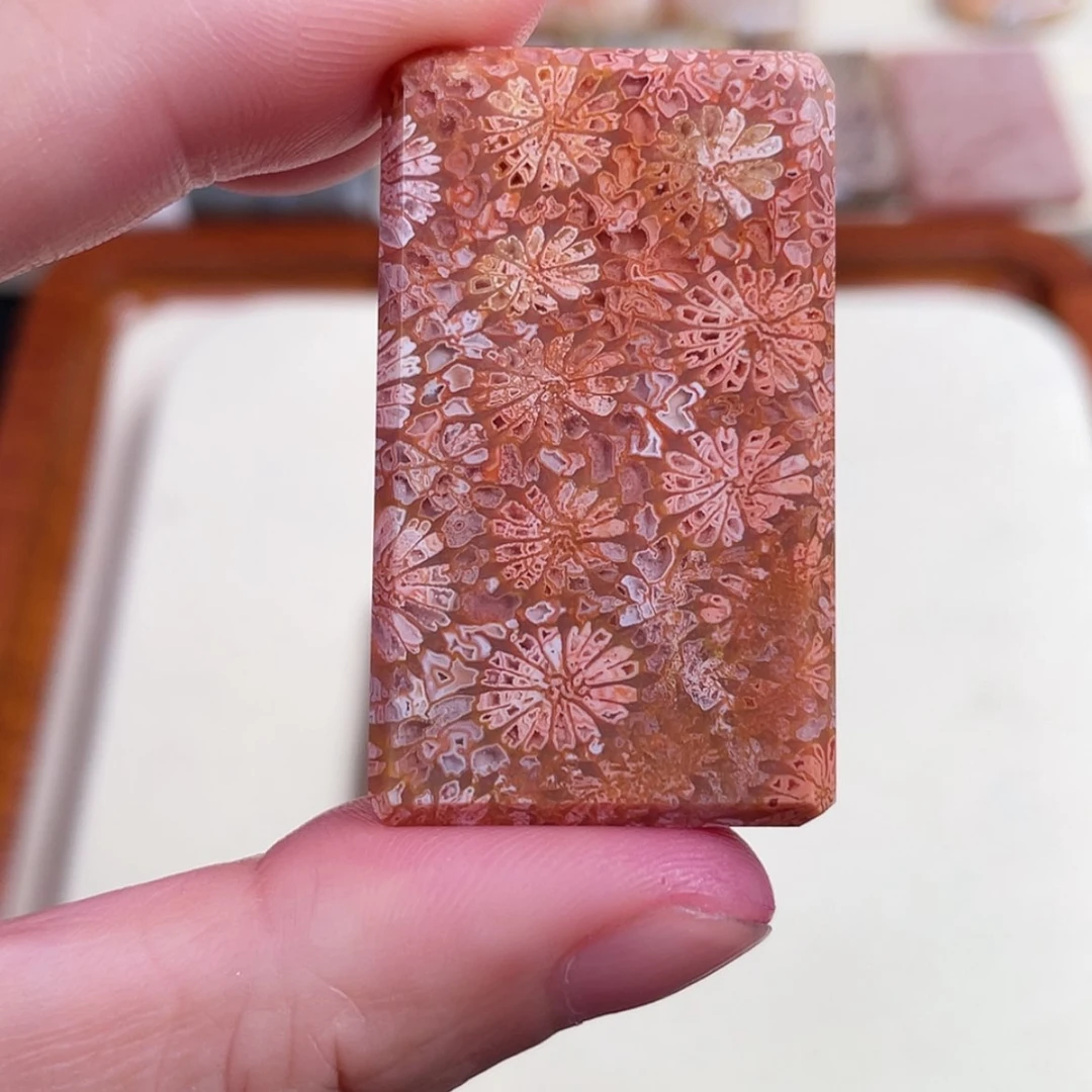 【闪购商品】硅化玉手串未镶嵌j*