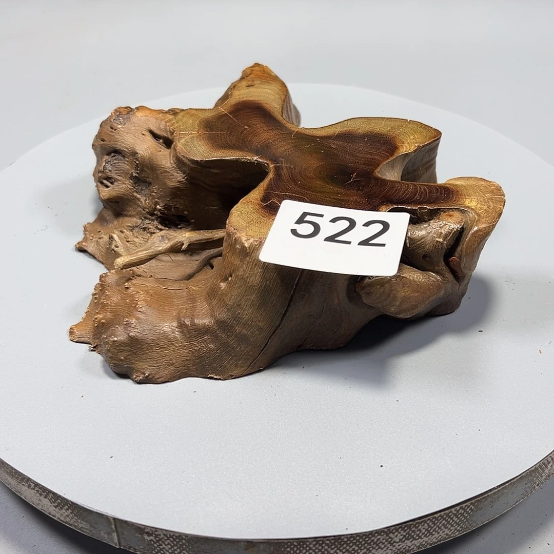 大果紫檀（缅甸花梨）青*端