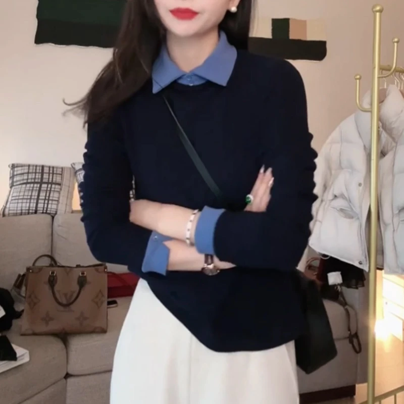 2025双面澳绒翻领撞色修身长袖上衣时尚休闲气质百搭显瘦打底衫