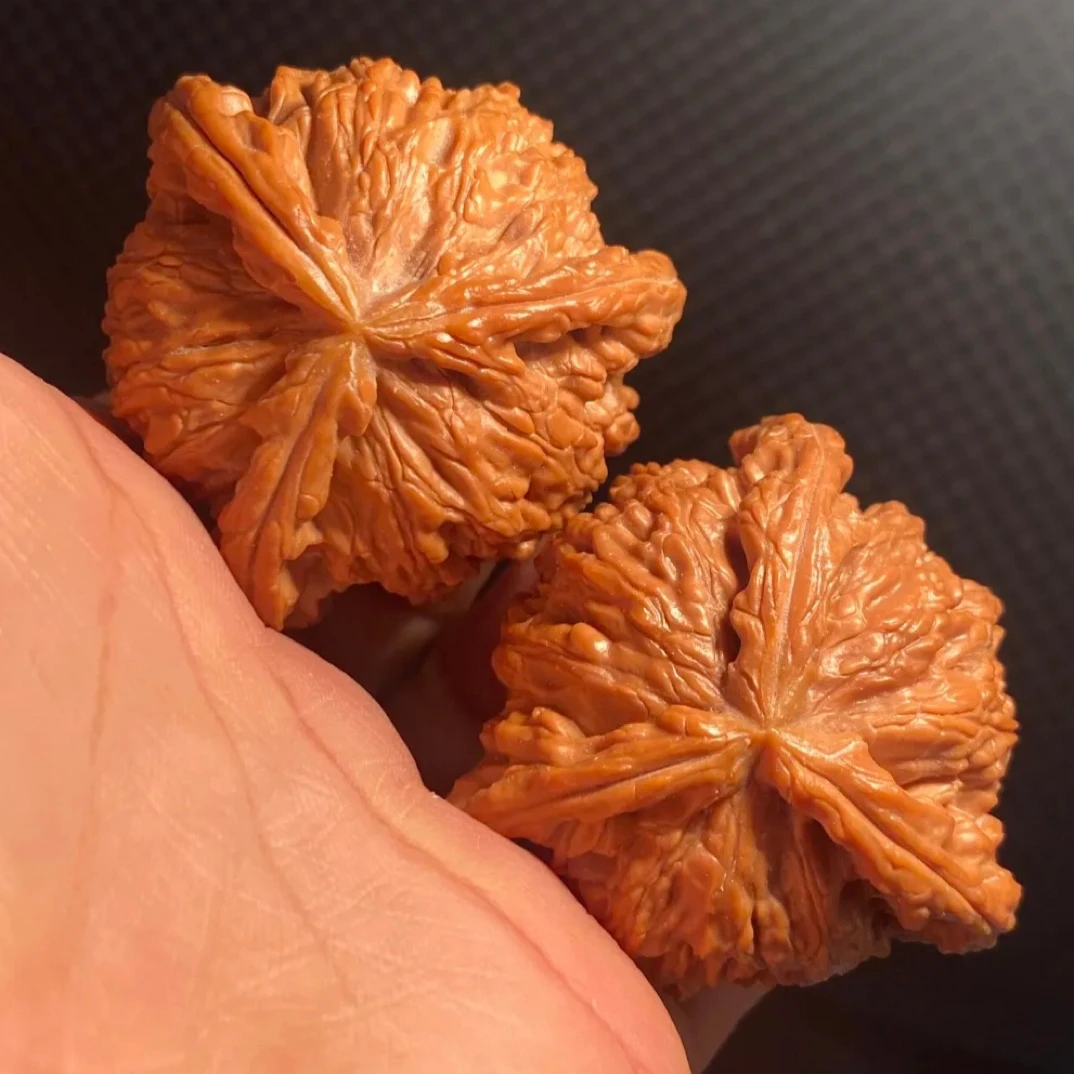 白狮子四座楼蛤蟆头文玩核桃