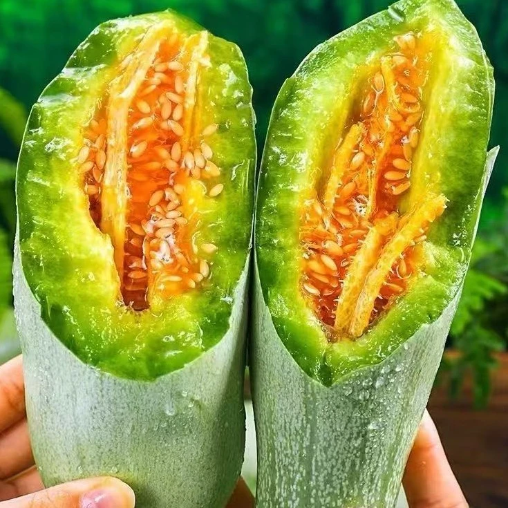 【头茬】山东潍坊头羊角蜜甜瓜新鲜现摘应季水果脆甜甜瓜羊角蜜瓜