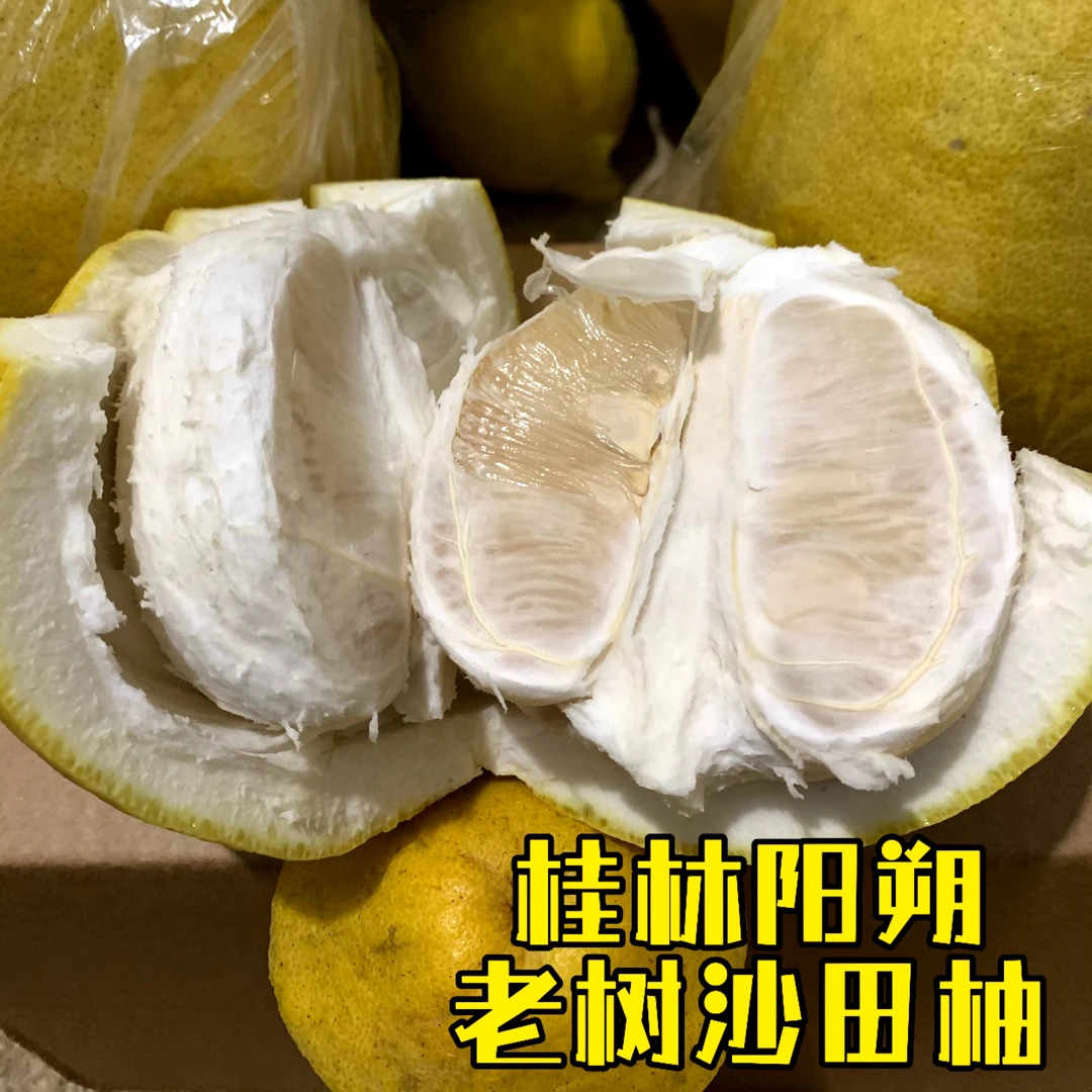 (阿牛哥推荐)广西桂林桂林阳朔老树沙田柚