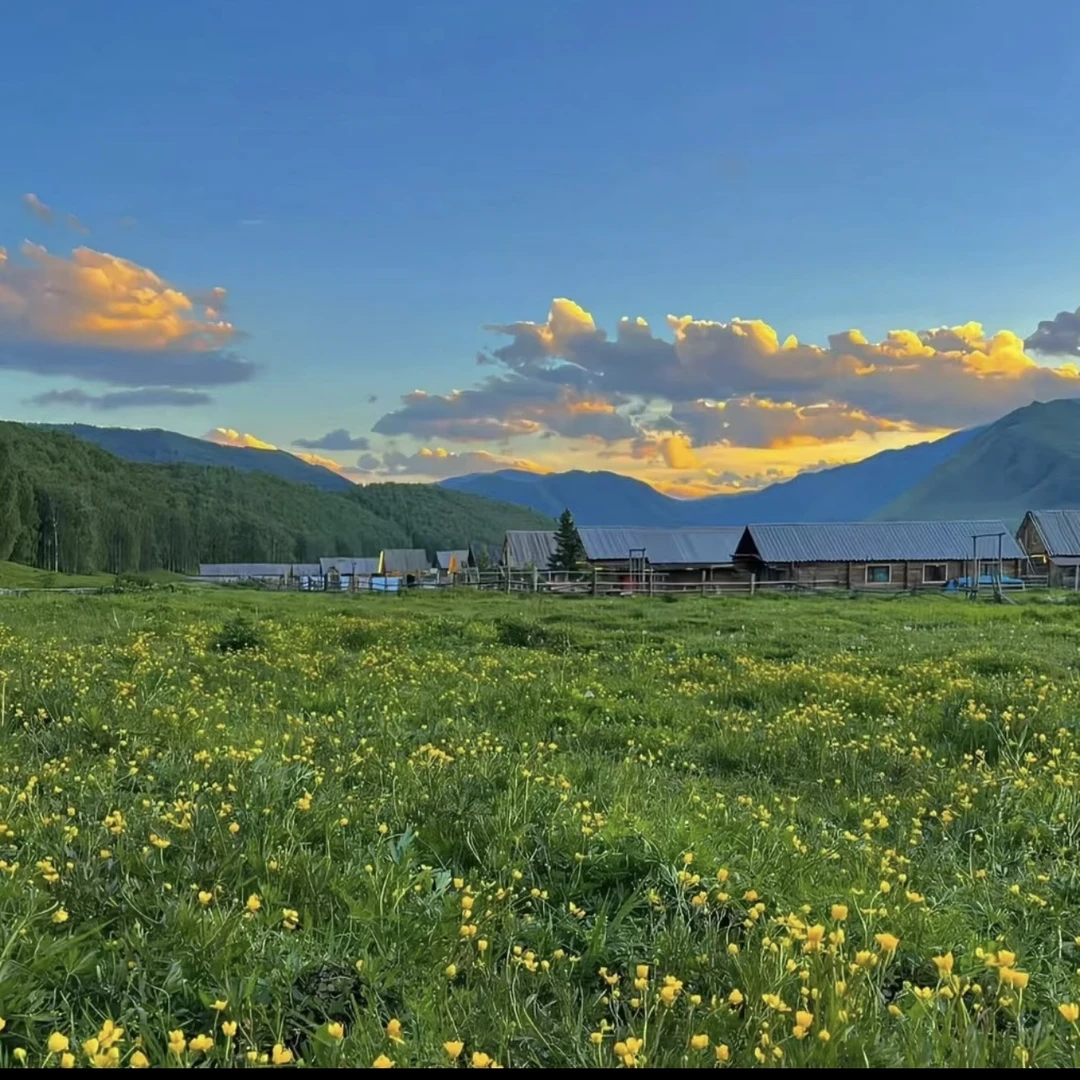 【撤柜正品】夏季新款男女同款皮肤衣AAA