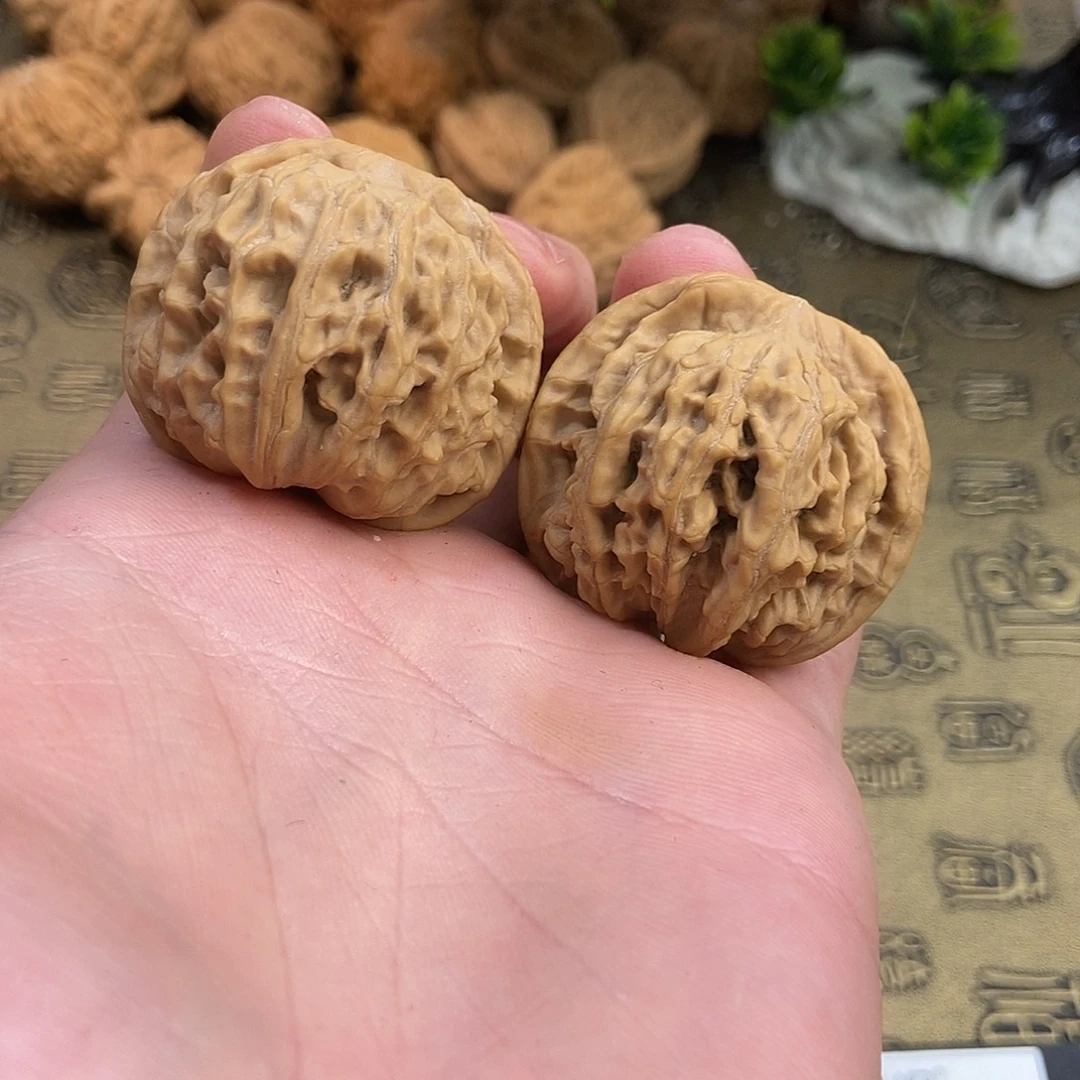 核桃天地狮子头39尺寸编号651全品无修菱形气门