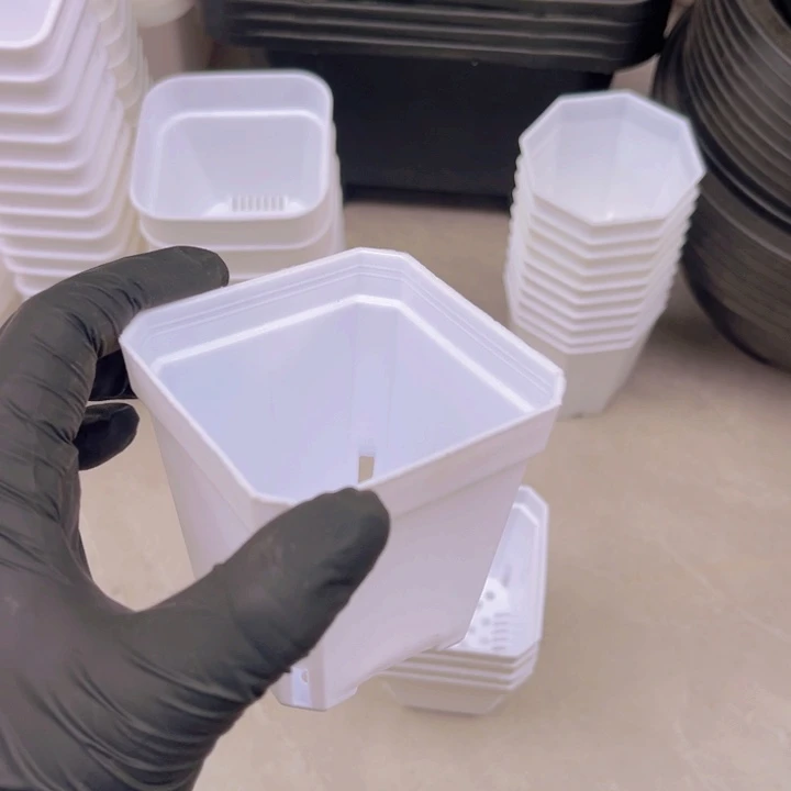 白方口7高7一组30个