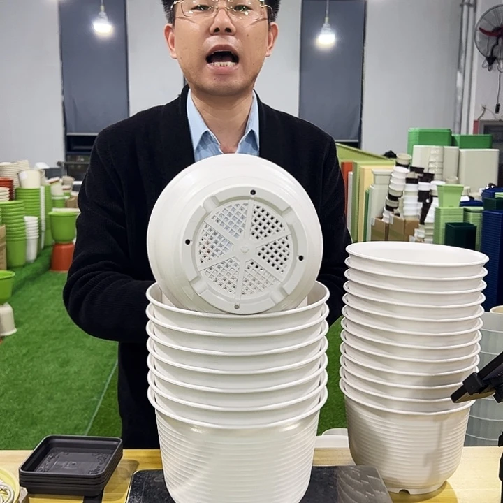 正品矮陶口21高15白色8只无托