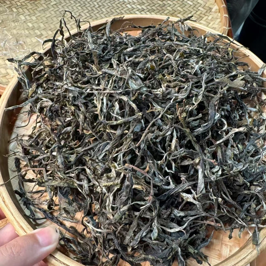 【小刚家的茶】6-15【LC555】2025年冰岛老寨中大树混采（晒青毛茶）